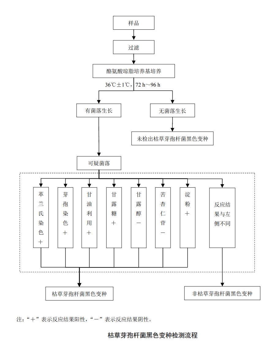 檢測水中滅菌生物指示物（枯草芽孢桿菌黑色變種）的具體方法