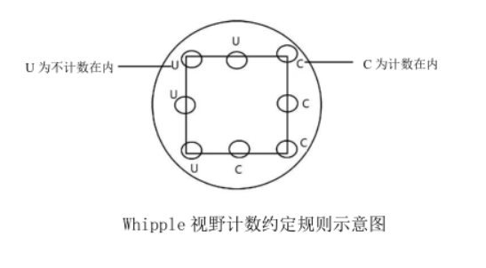 精準(zhǔn)檢測地表水中浮游植物的方法